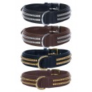 Ace Comfy  Leather Padded Dog Collar with Chrome & Brass Studs (Black, Brown)